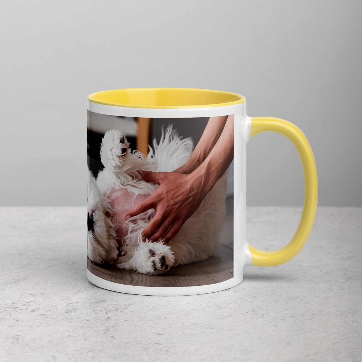 Bichon Dad: Chief Belly Rub Giver Coffee Mug - Image 21
